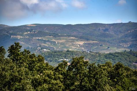1219 Repetto Ranch Road Sonoma CA 95476