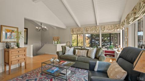 202 Cleveland Court Mill Valley CA 94941
