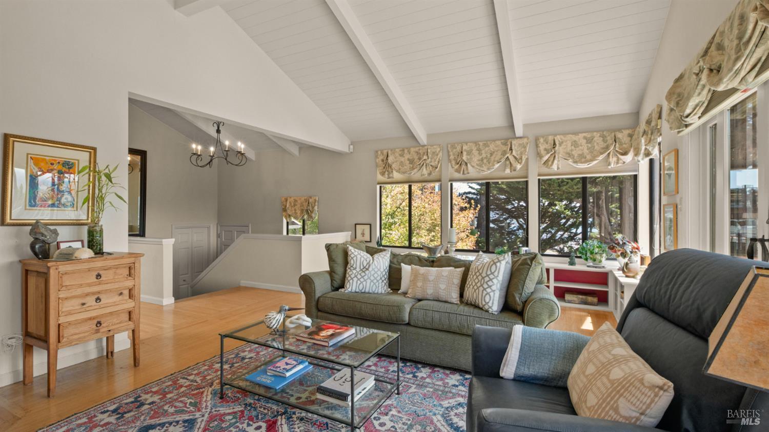 202 Cleveland Court Mill Valley CA 94941