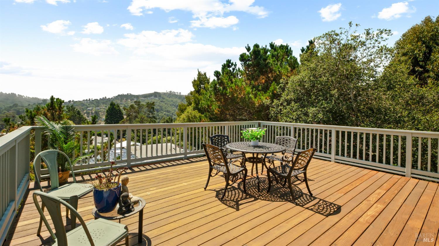 202 Cleveland Court Mill Valley CA 94941