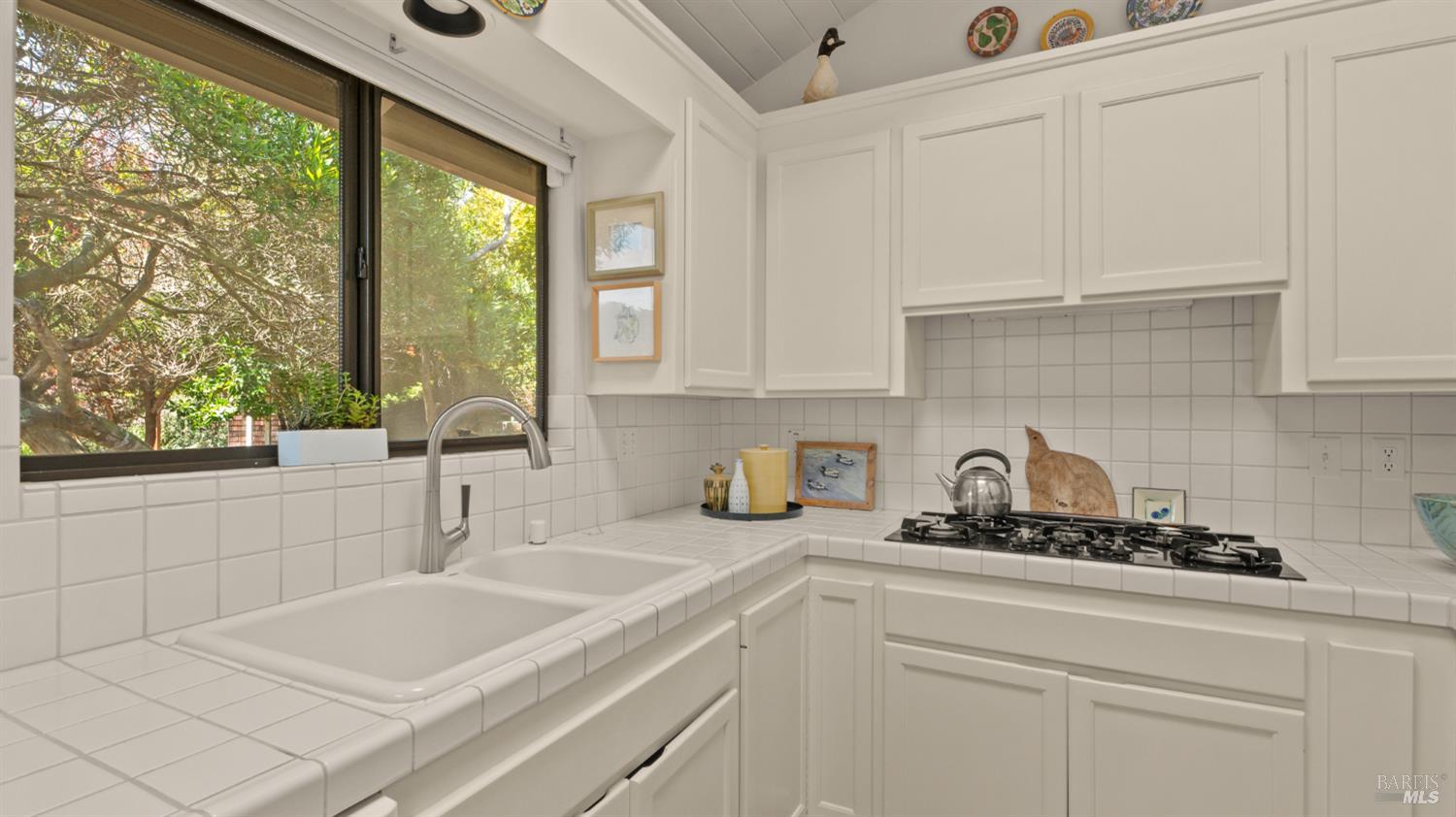 202 Cleveland Court Mill Valley CA 94941