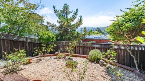 202 Cleveland Court Mill Valley CA 94941