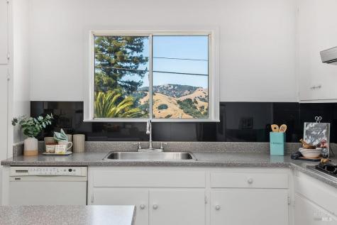 26 Manor View Drive Fairfax CA 94930