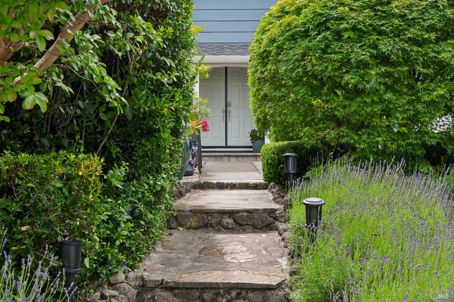 385 San Carlos Way Novato CA 94945