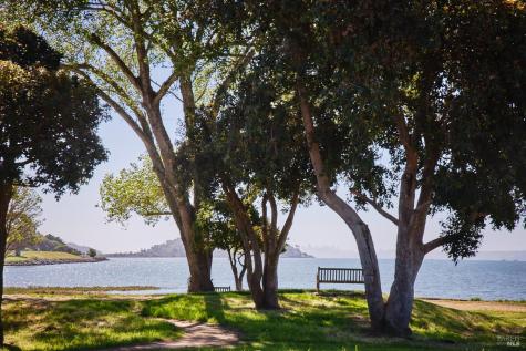 893 Tiburon Boulevard Tiburon CA 94920