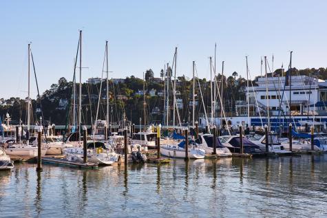 893 Tiburon Boulevard Tiburon CA 94920