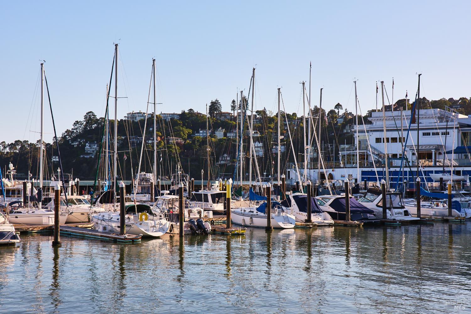 893 Tiburon Boulevard Tiburon CA 94920