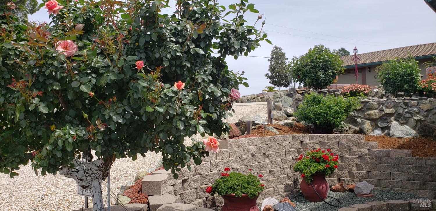 425 Lake Vista Drive Lakeport CA 95453