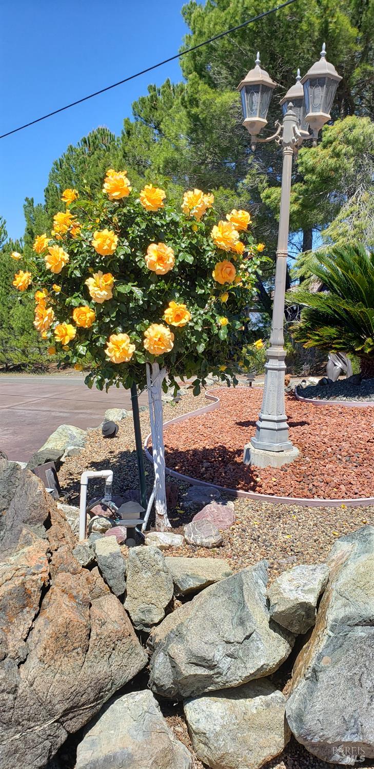 425 Lake Vista Drive Lakeport CA 95453