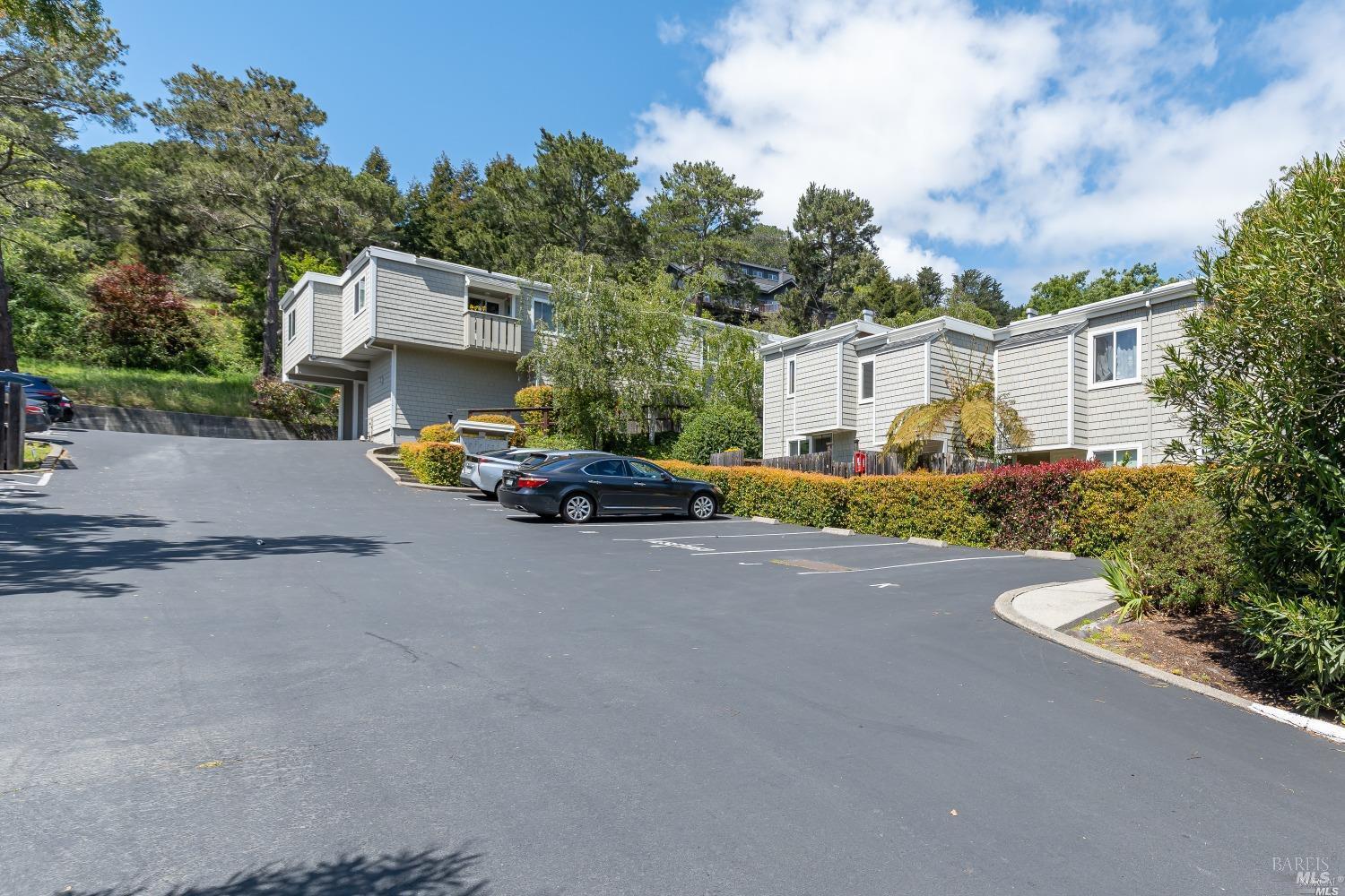 384 Pine Hill Road Mill Valley CA 94941