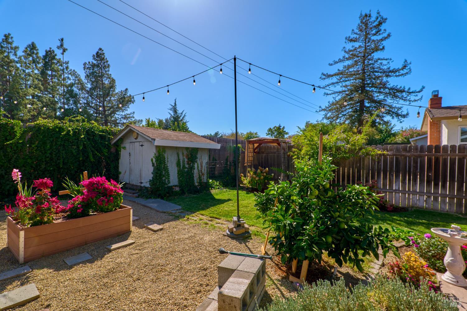 433 Dahlia Street Fairfield CA 94533