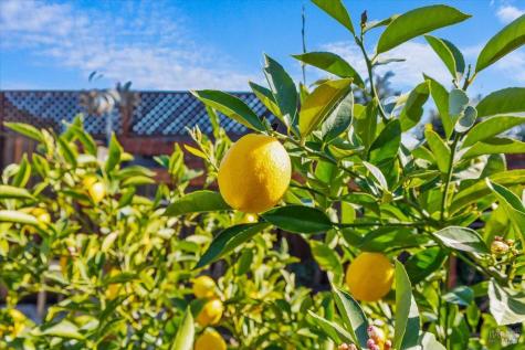 573 Misty Court Santa Rosa CA 95403