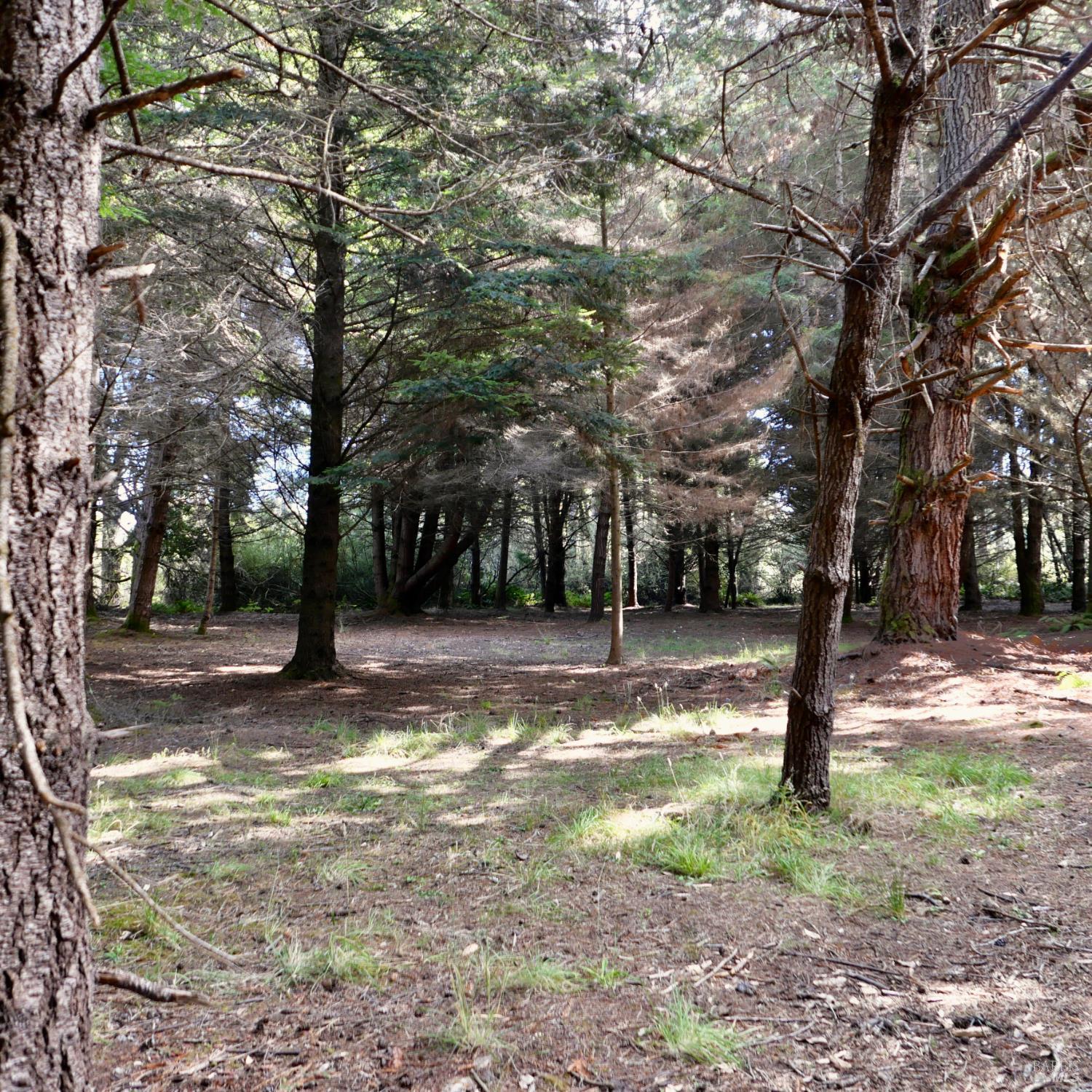 26800 N Highway 1 Fort Bragg CA 95437