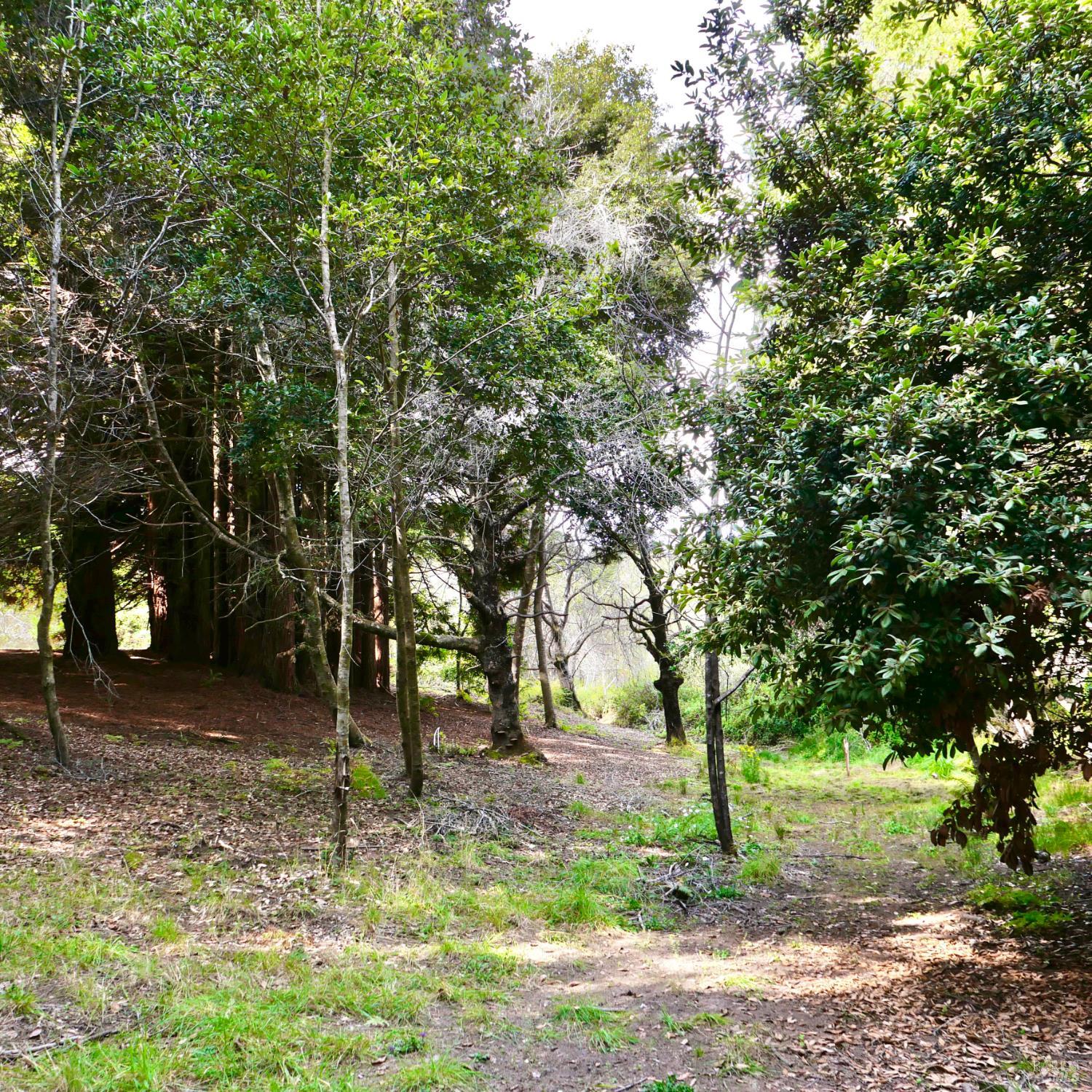 26800 N Highway 1 Fort Bragg CA 95437
