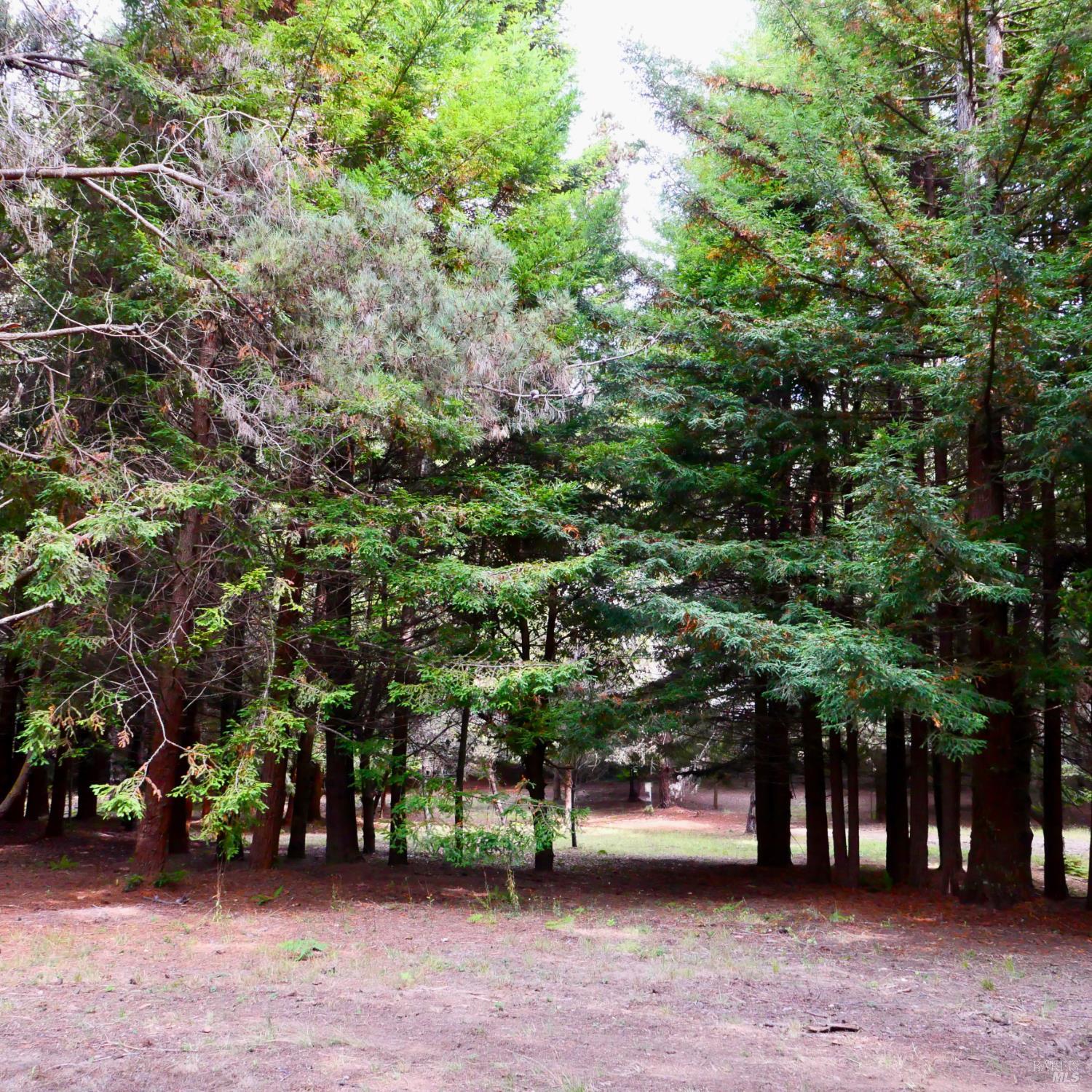 26800 N Highway 1 Fort Bragg CA 95437