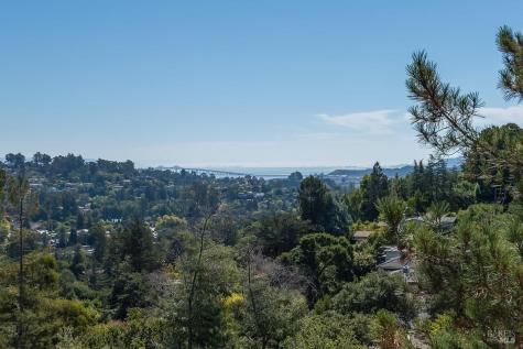 14 Fair Drive San Rafael CA 94901