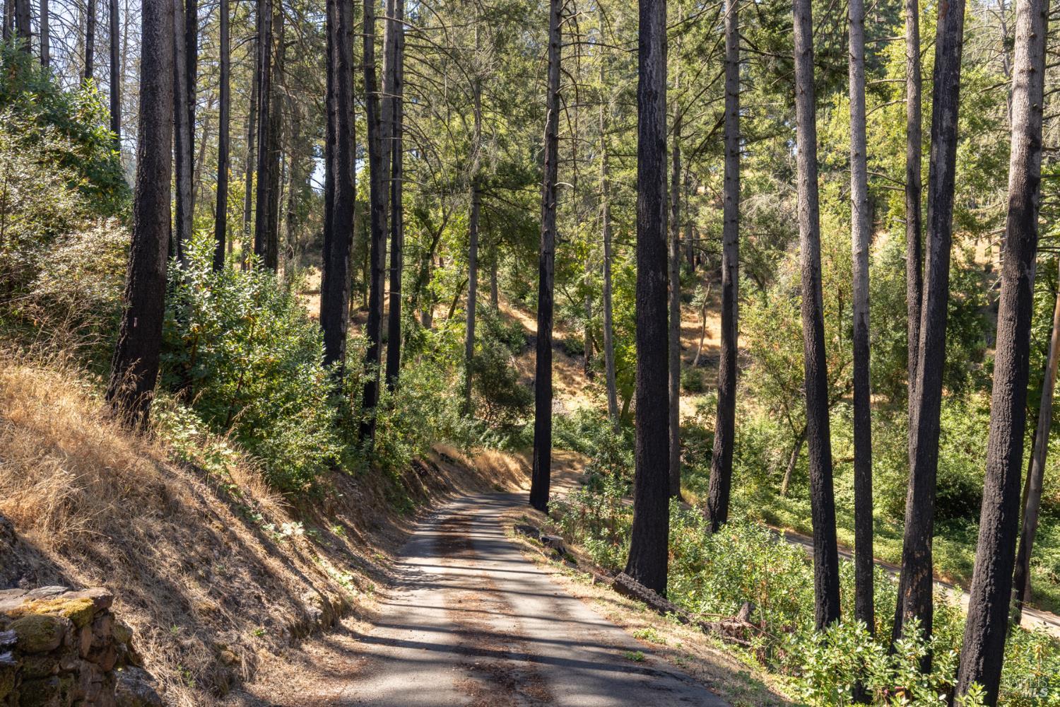 7007 Dry Creek Road Napa CA 94558