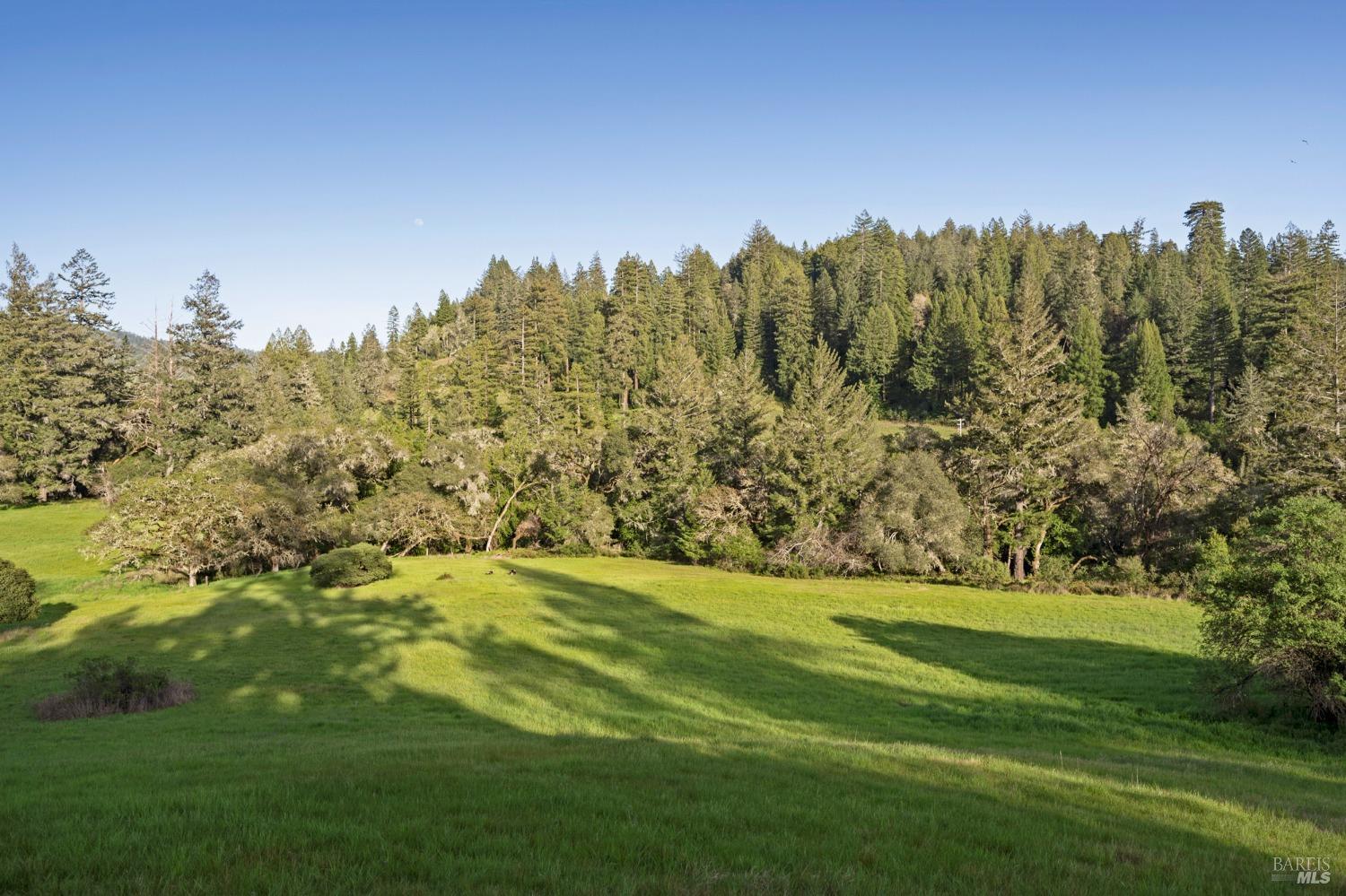 18501 Van Zandt Resort Road Philo CA 95466