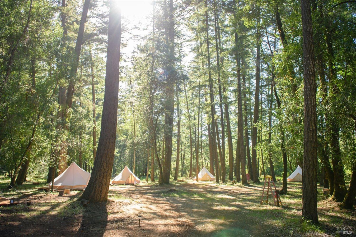 18501 Van Zandt Resort Road Philo CA 95466