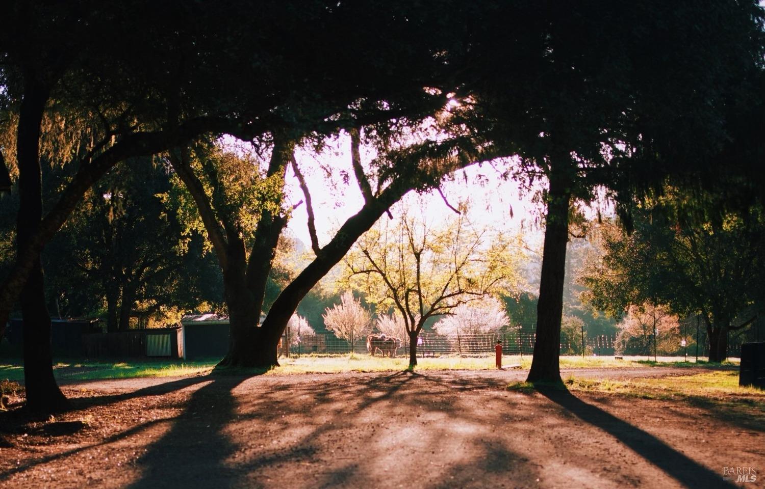 18501 Van Zandt Resort Road Philo CA 95466
