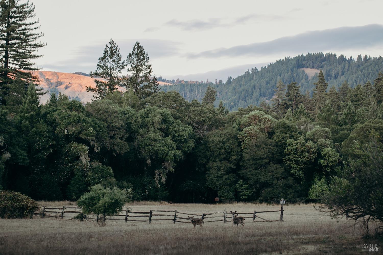 18501 Van Zandt Resort Road Philo CA 95466
