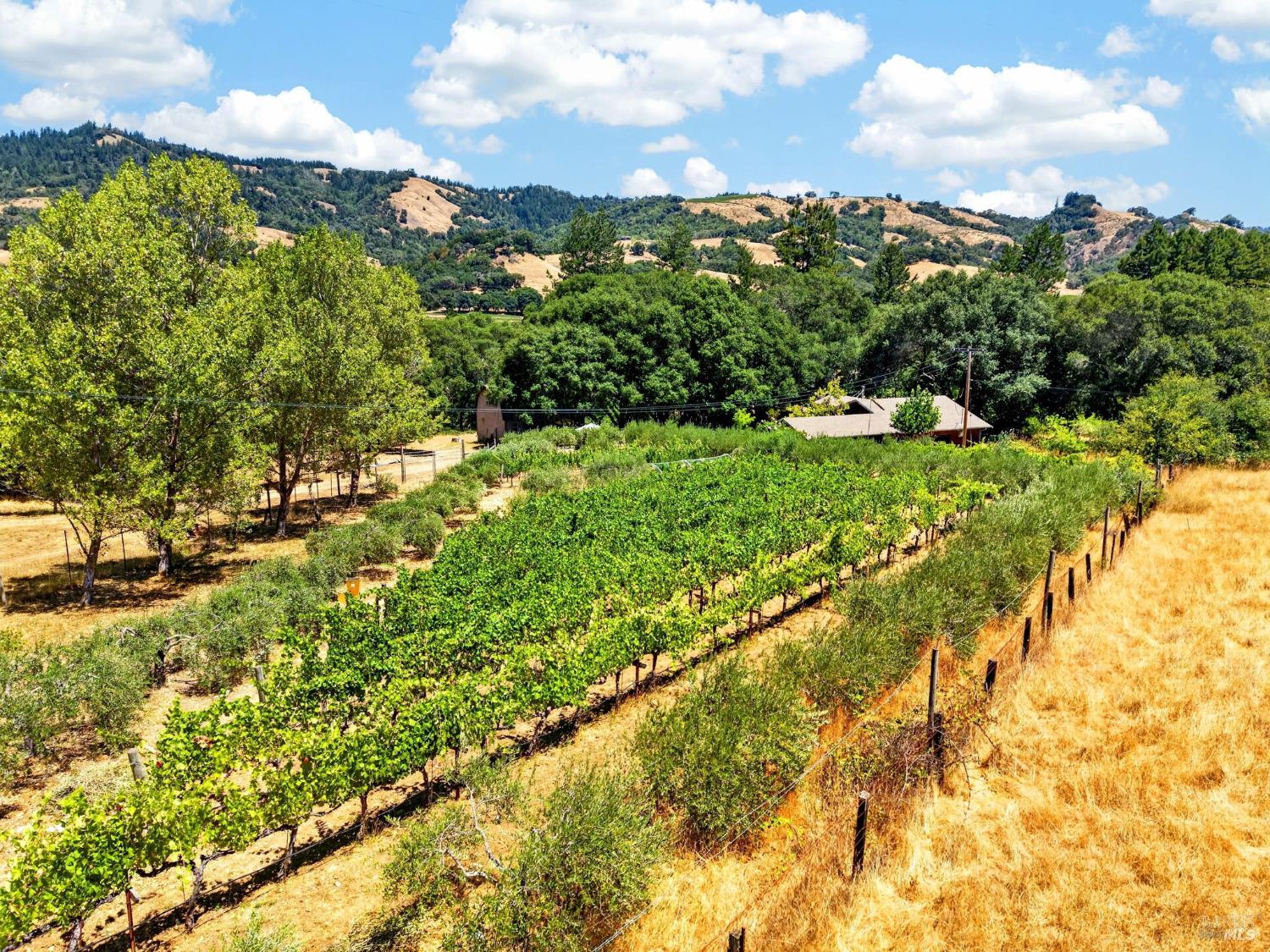 10560 Anderson Valley Way Boonville CA 95415