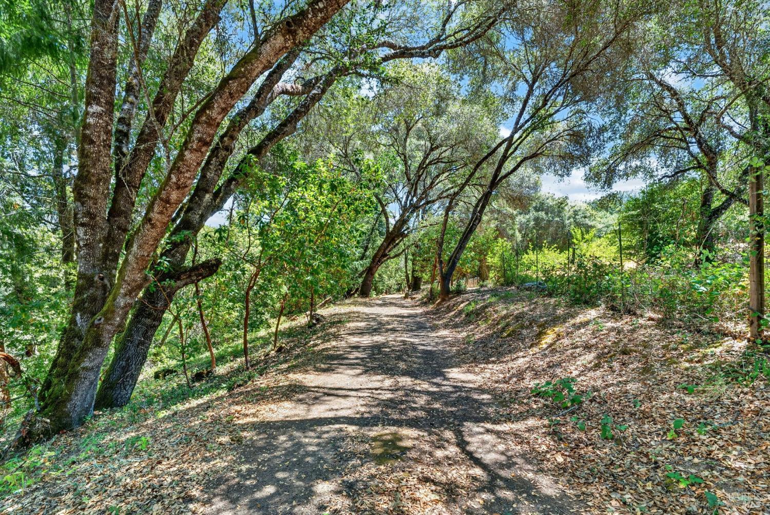 10560 Anderson Valley Way Boonville CA 95415