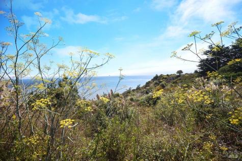 130 Juniper Road Bolinas CA 94924