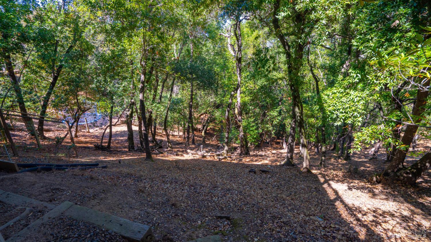 2312 Laguna Vista Drive Novato CA 94945