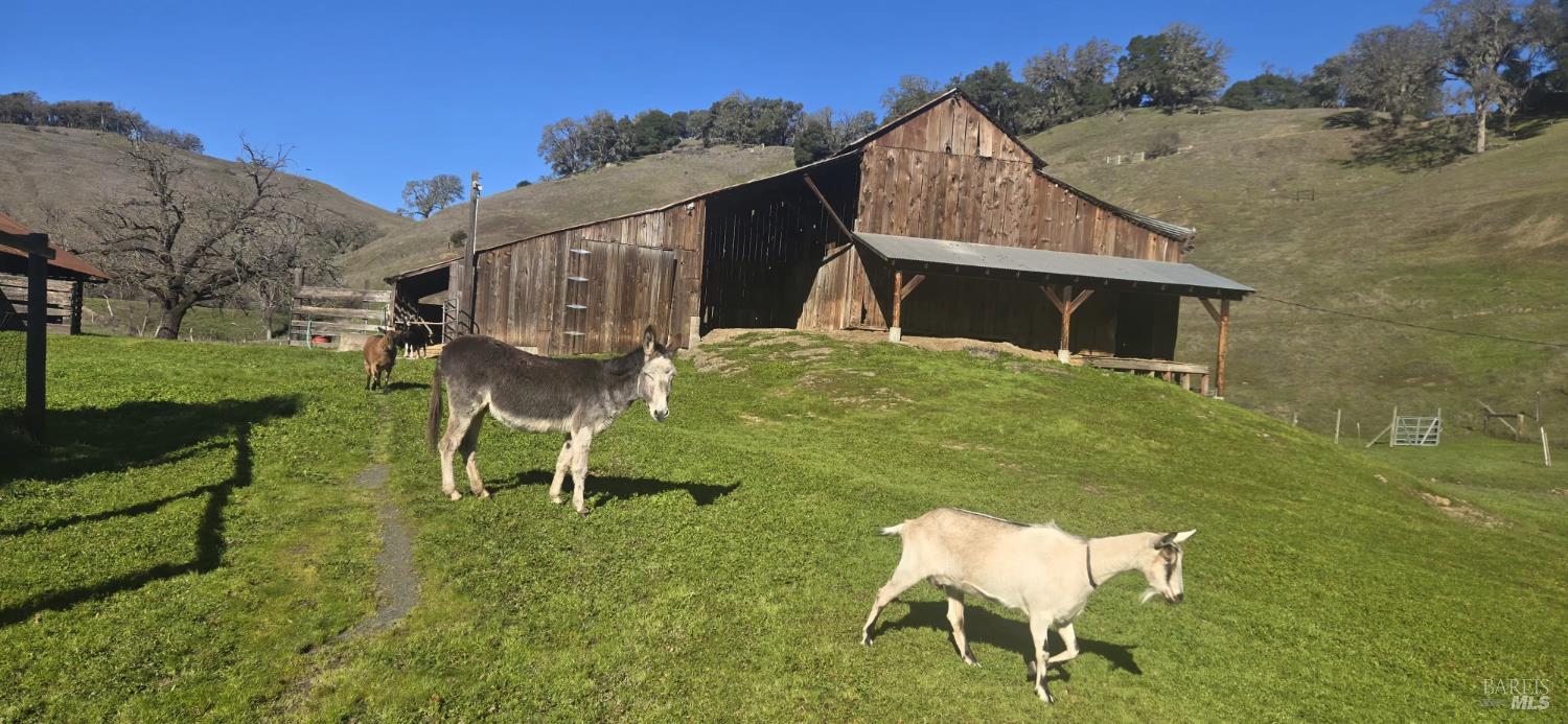 7420 Eastside Potter Valley Road Ukiah CA 95482
