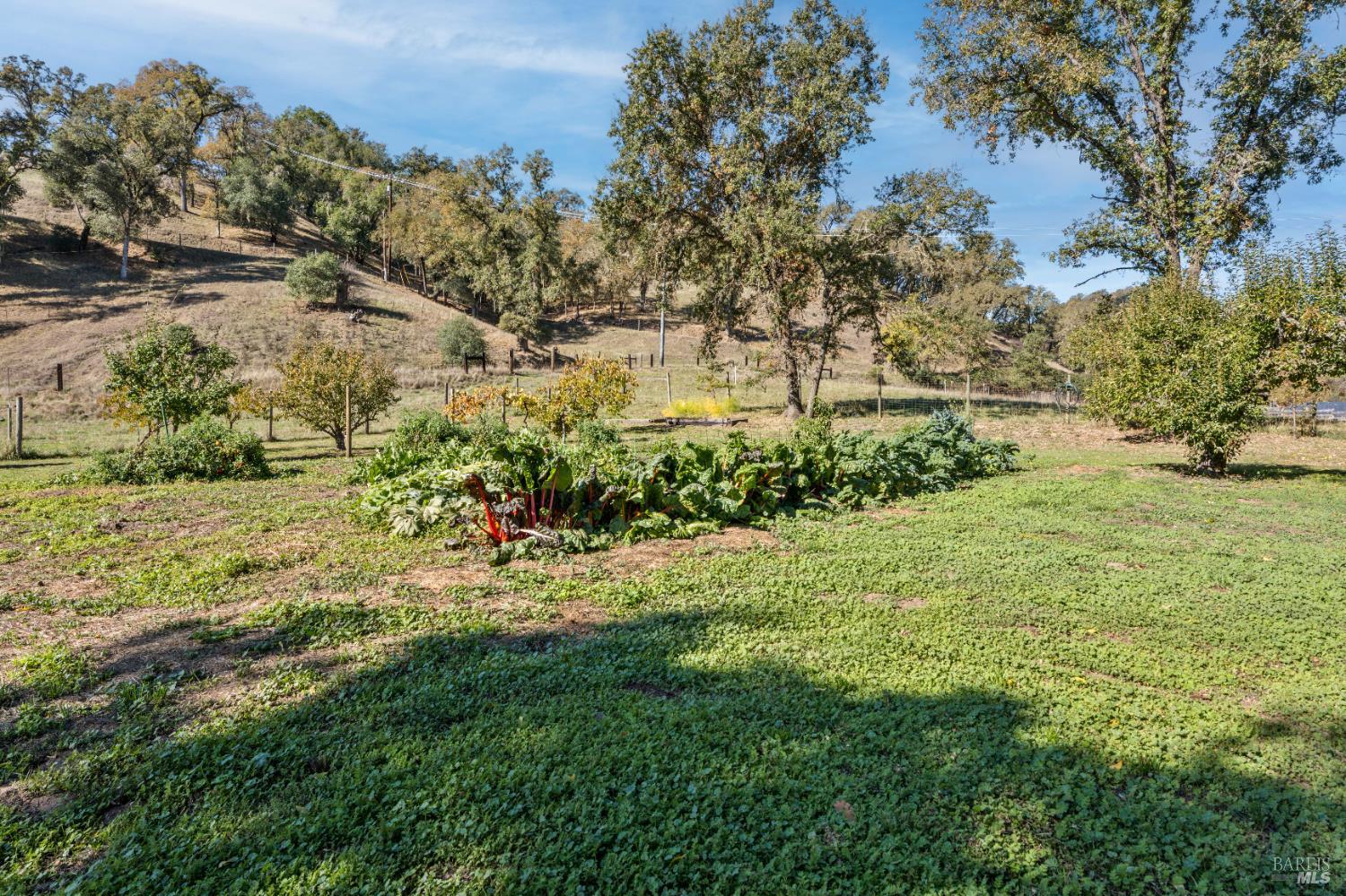 7420 Eastside Potter Valley Road Ukiah CA 95482