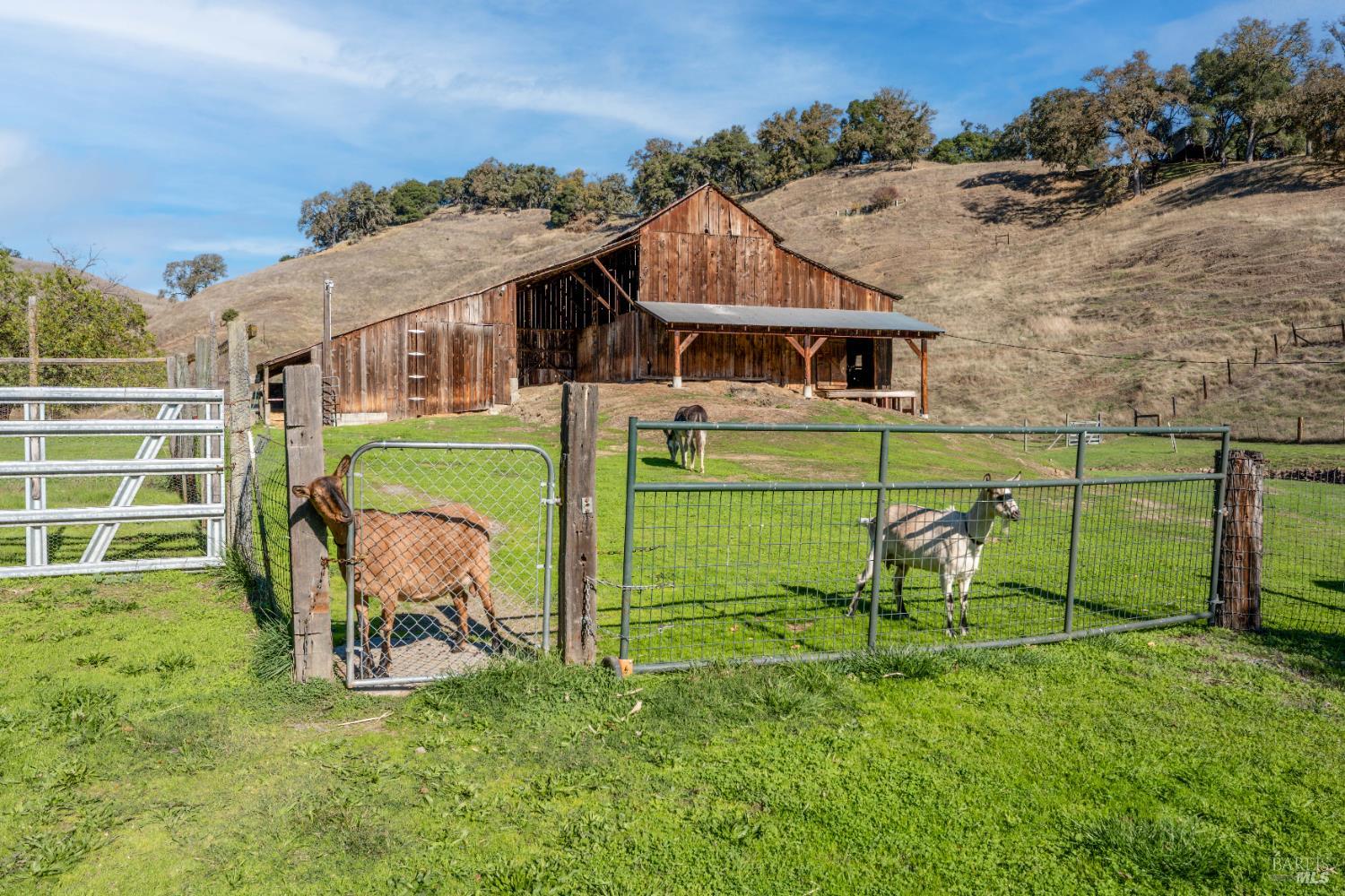 7420 Eastside Potter Valley Road Ukiah CA 95482