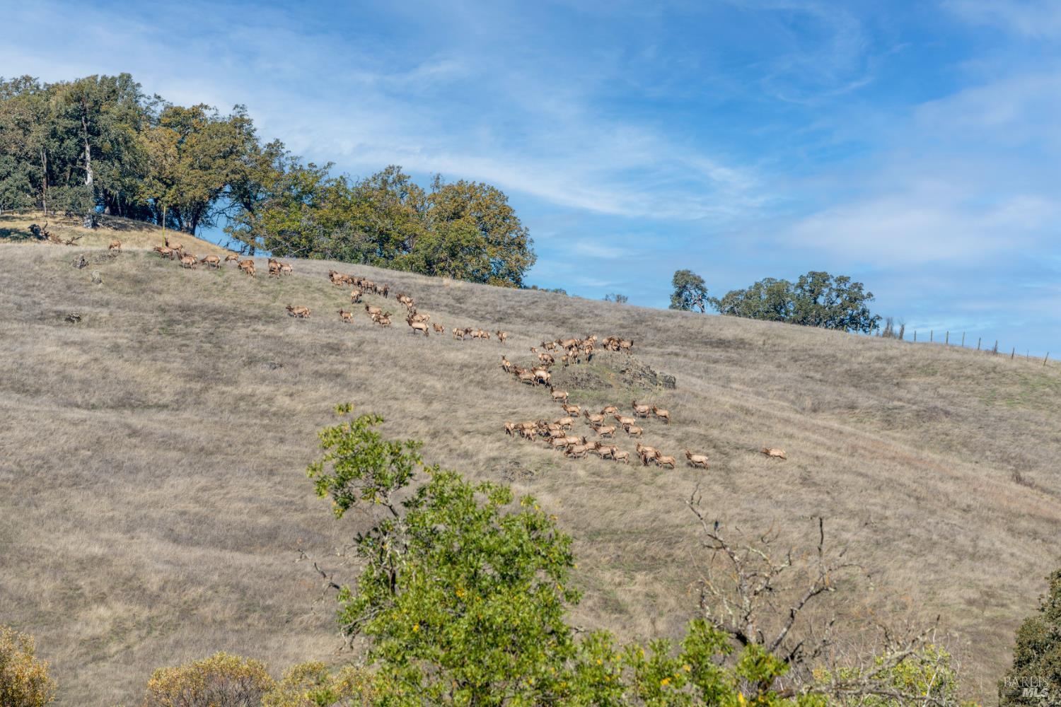 7420 Eastside Potter Valley Road Ukiah CA 95482