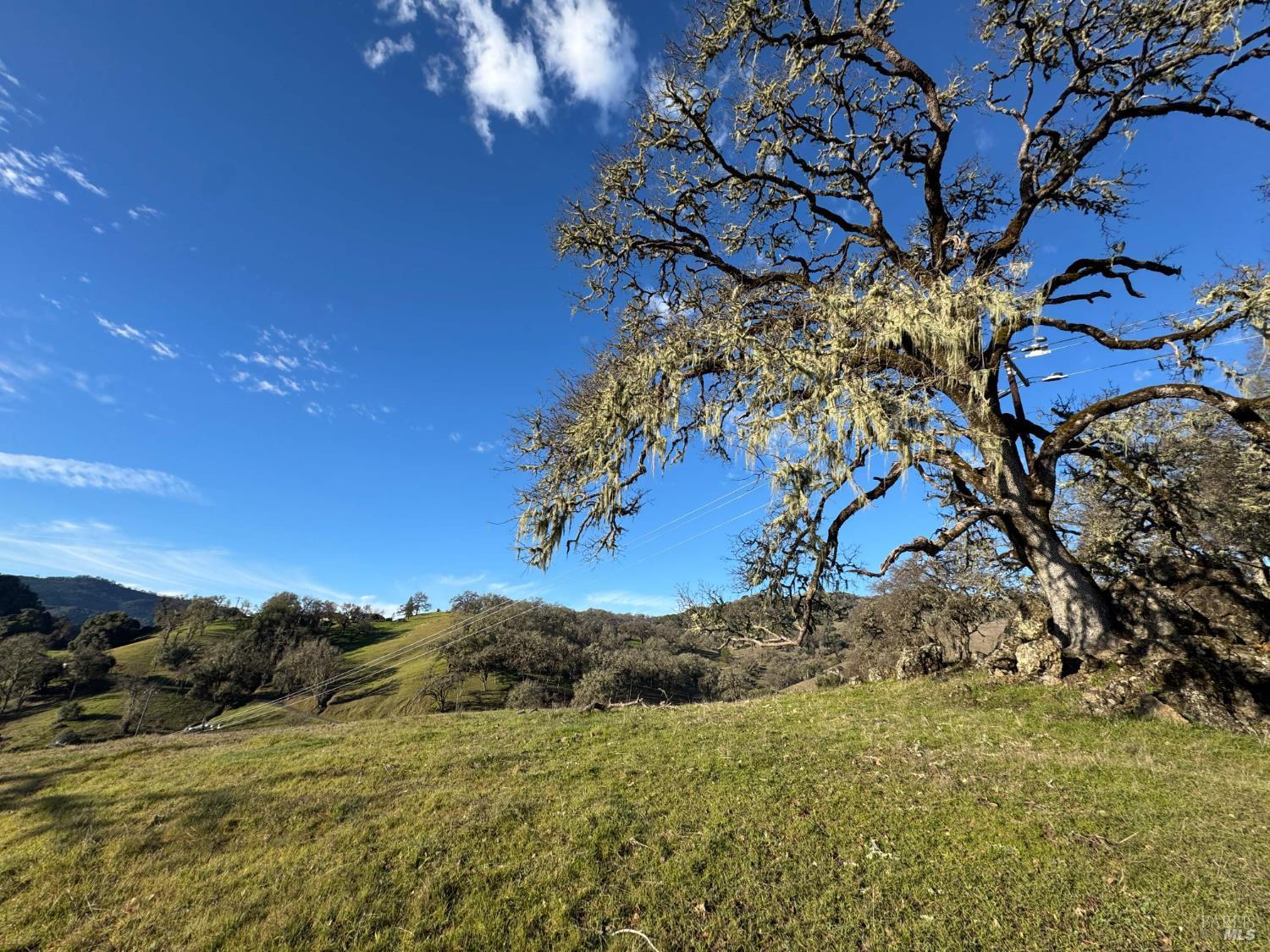 7420 Eastside Potter Valley Road Ukiah CA 95482
