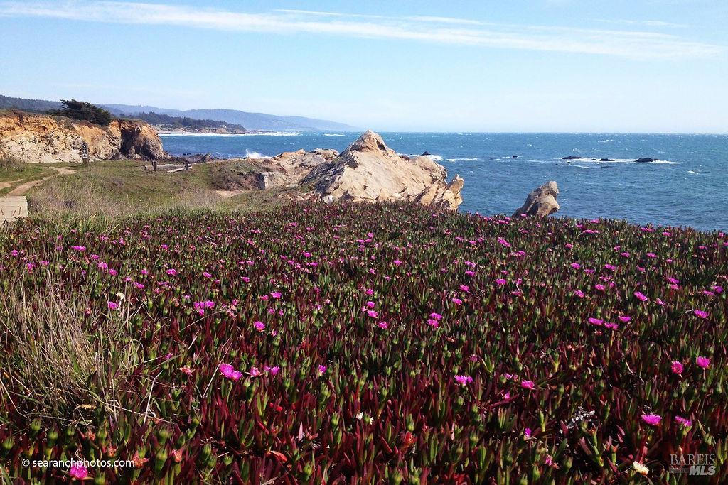 41739 Leeward Road The Sea Ranch CA 95497