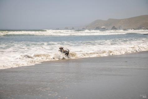 35 Oceana Drive Dillon Beach CA 94929