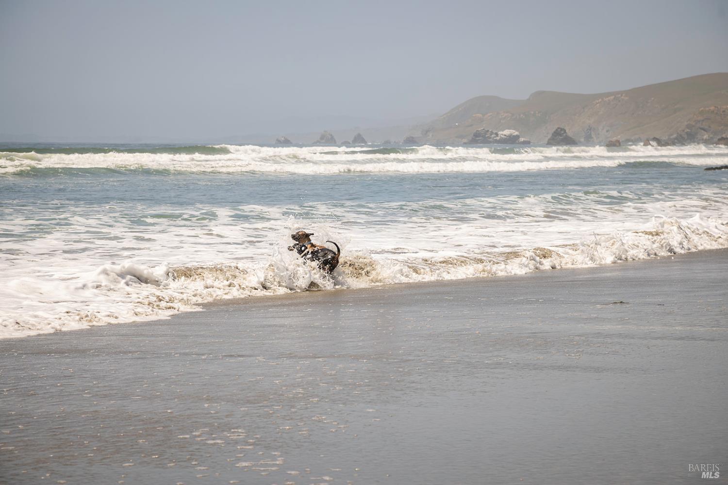 35 Oceana Drive Dillon Beach CA 94929