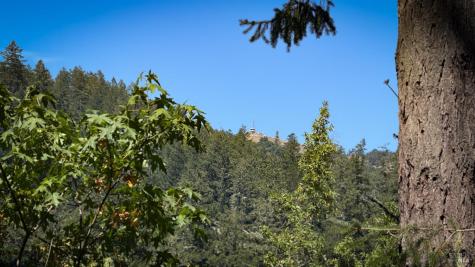 15 Mountain View Avenue Lagunitas CA 94938