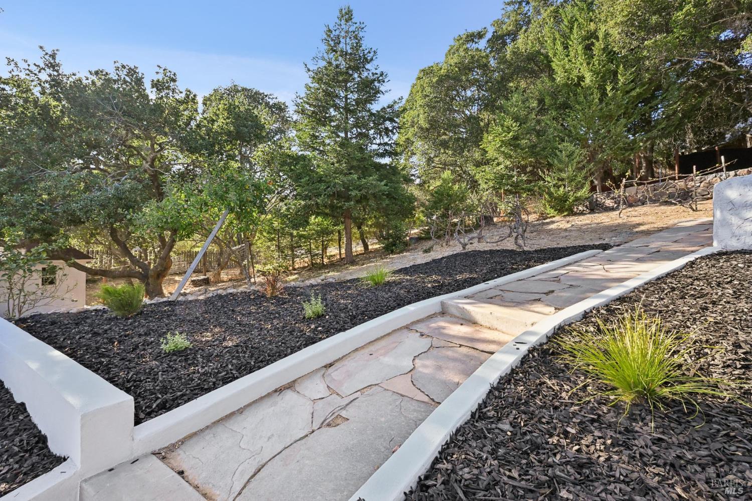 457 Wilson Avenue Novato CA 94947