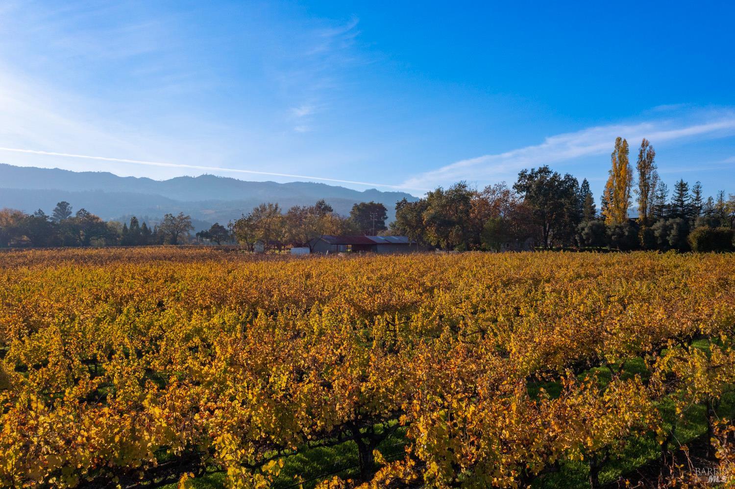 1135 Galleron Road St. Helena CA 94574