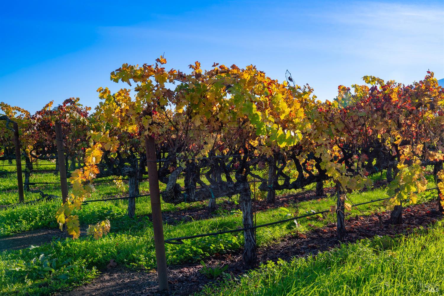 1135 Galleron Road St. Helena CA 94574