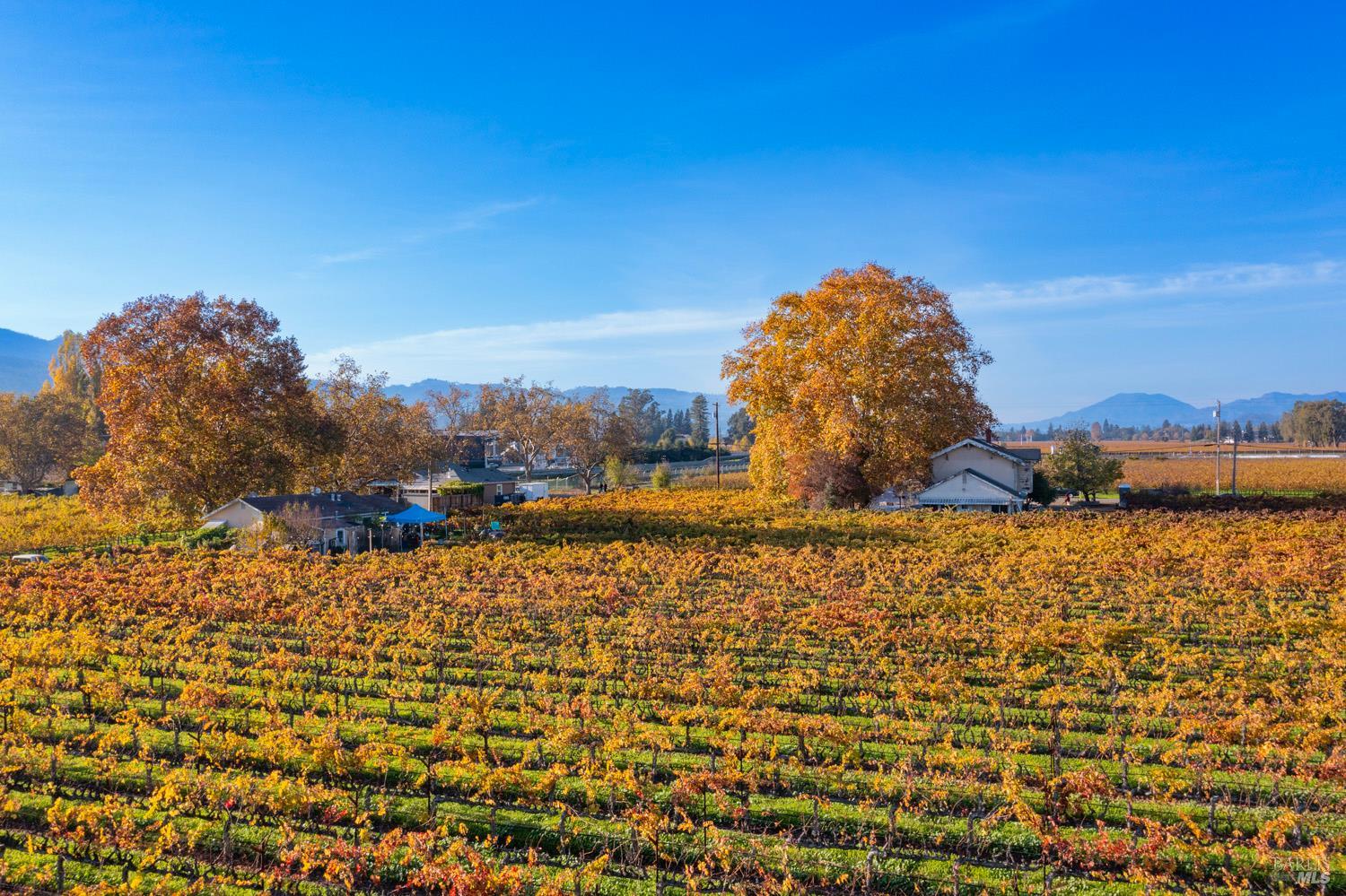 1135 Galleron Road St. Helena CA 94574