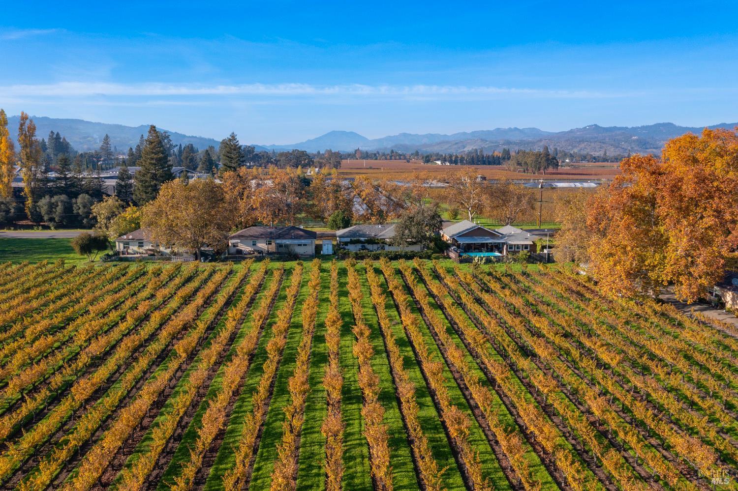 1135 Galleron Road St. Helena CA 94574