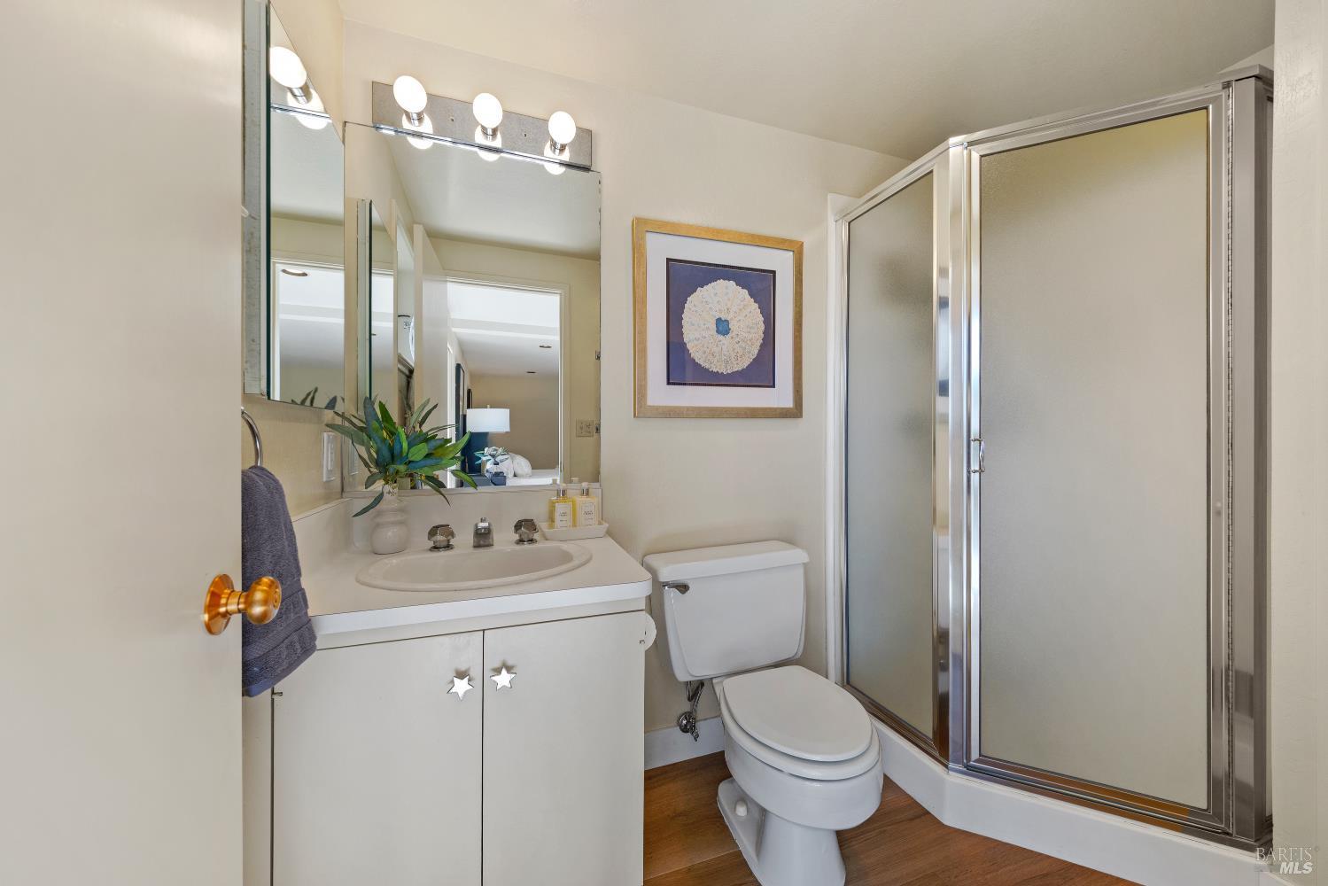 243 Loma Avenue Tiburon CA 94920