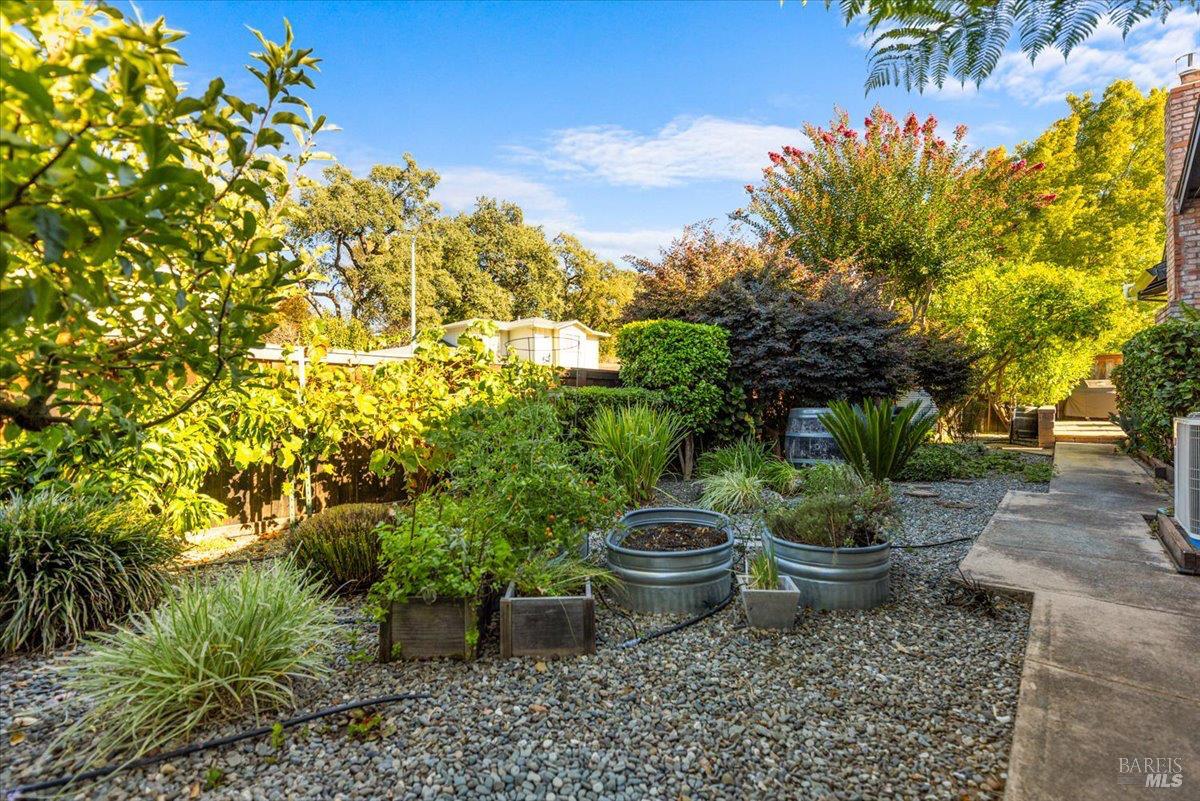 296 W Thomson Avenue Sonoma CA 95476