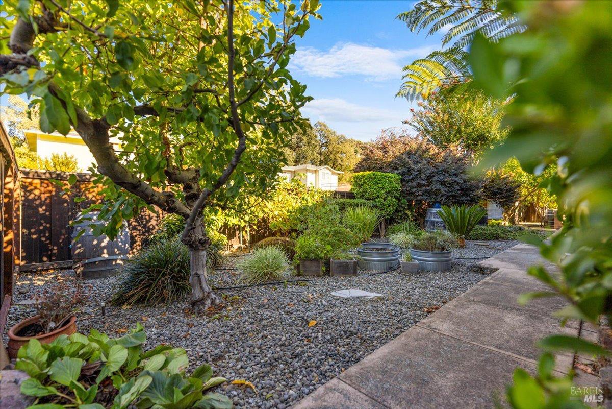 296 W Thomson Avenue Sonoma CA 95476