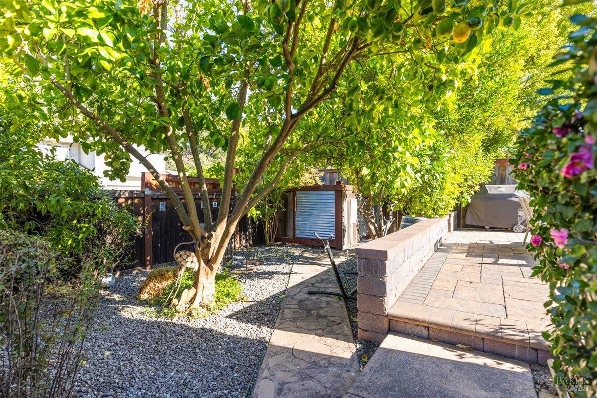 296 W Thomson Avenue Sonoma CA 95476