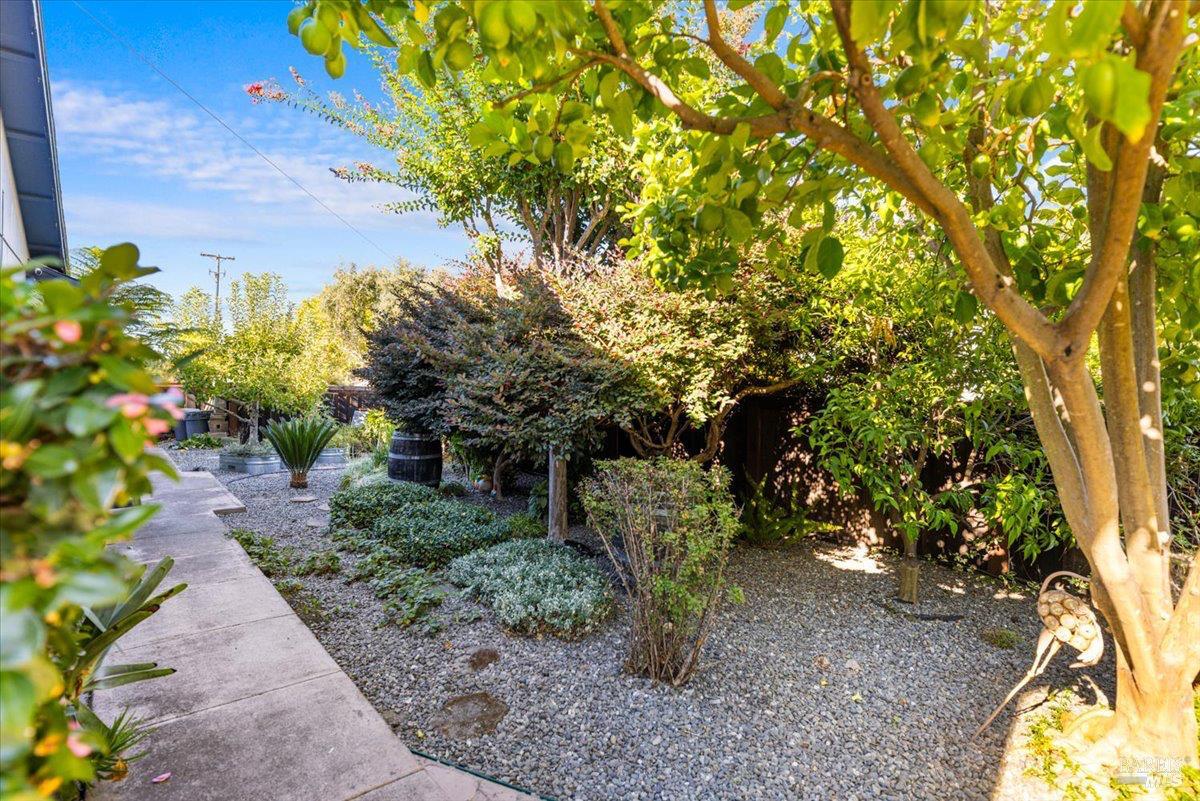 296 W Thomson Avenue Sonoma CA 95476