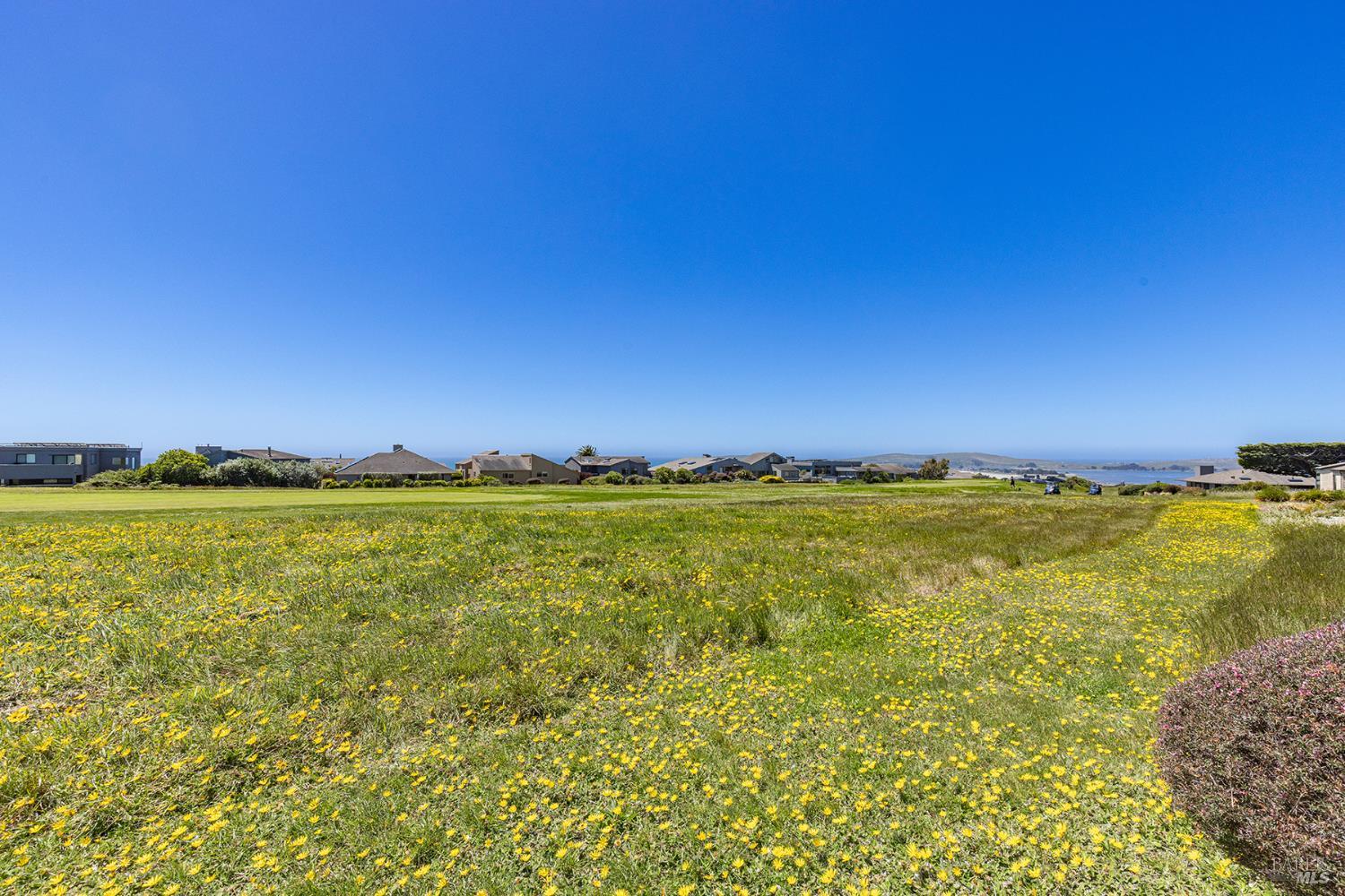 172 Condor Court Bodega Bay CA 94923