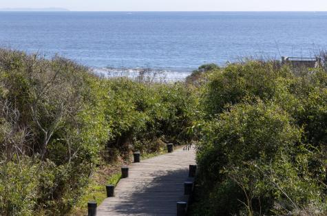 172 Condor Court Bodega Bay CA 94923
